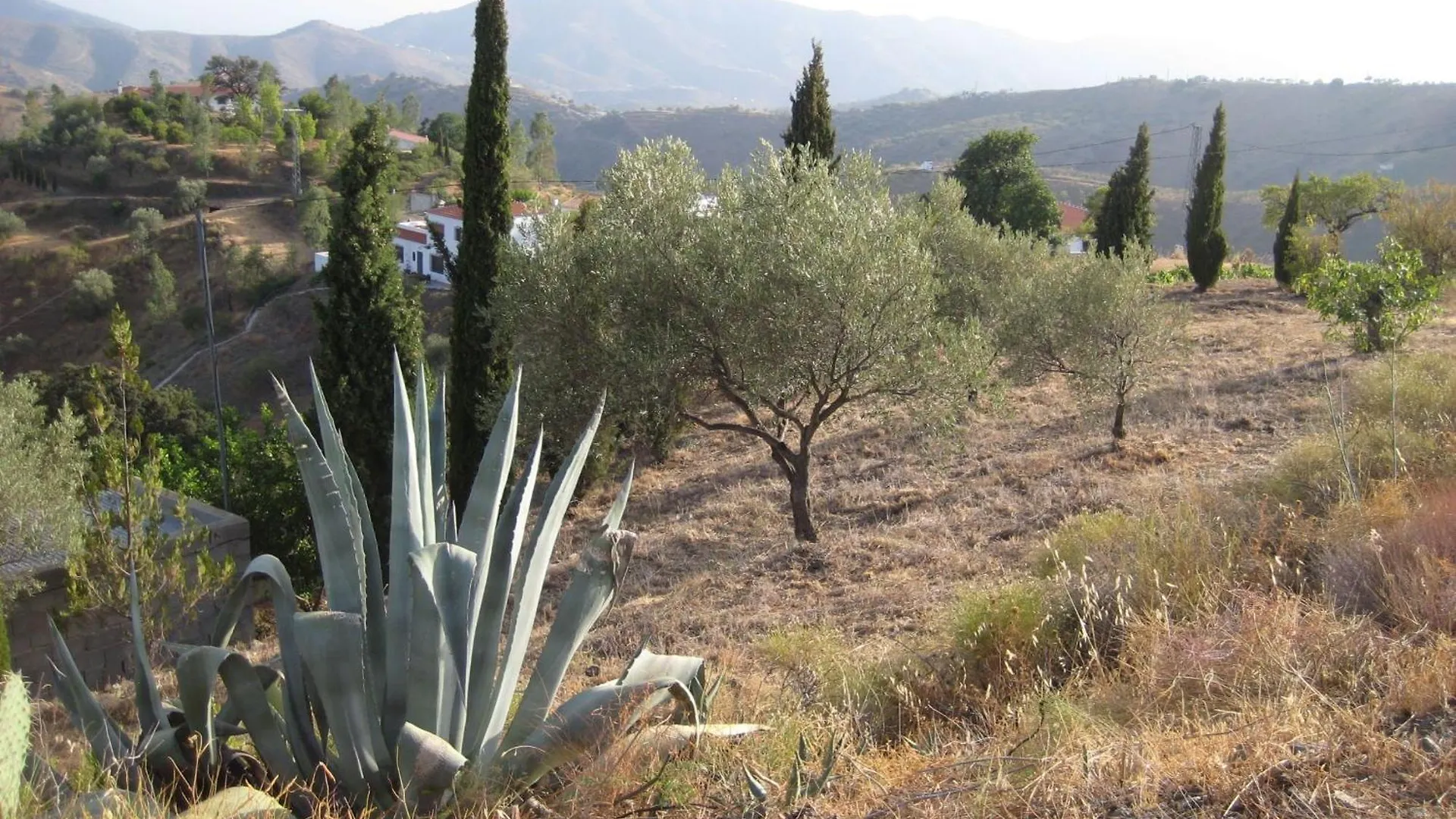 Holiday home Casa Siete Arcos Villa Mit Ueberdachter Terrasse Sedella Spain